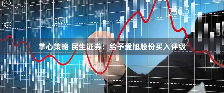 掌心策略 民生证券：给予爱旭股份买入评级