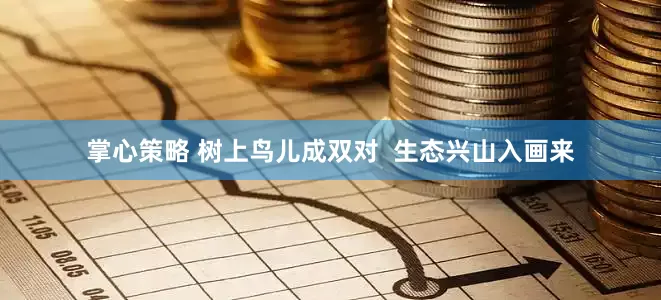 掌心策略 树上鸟儿成双对  生态兴山入画来